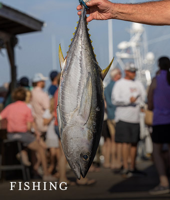fishing charters