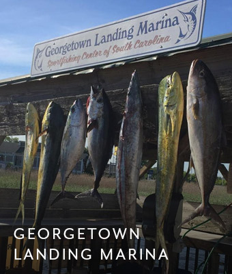 Georgetown Landing Marina