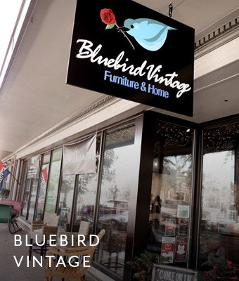 Bluebird Vintage