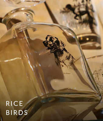 Rice Birds